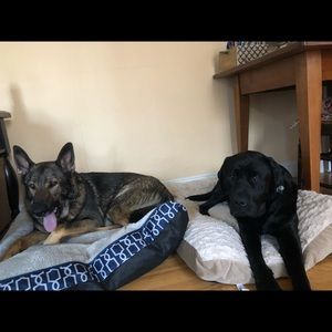 Meet your Posher, Adri